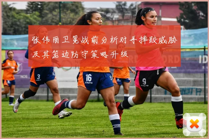 张伟丽卫冕战前分析对手摔跤威胁及其笼边防守策略升级